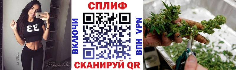 Бошки Шишки VHQ  Бологое 